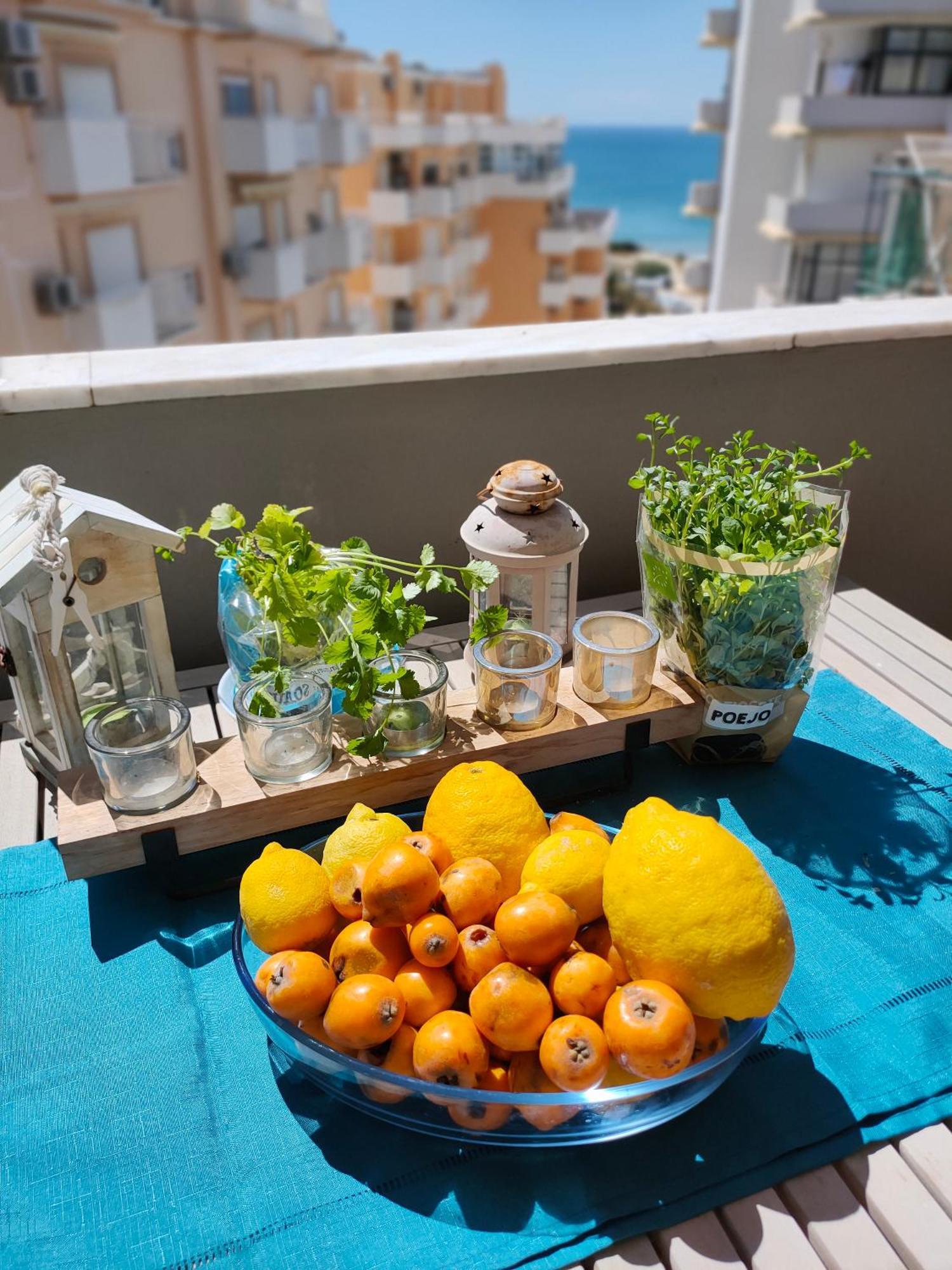 Cantinho Do Sol - Sea View, Quiet, Cozy And Relaxing Flat Armacao de Pera Luaran gambar