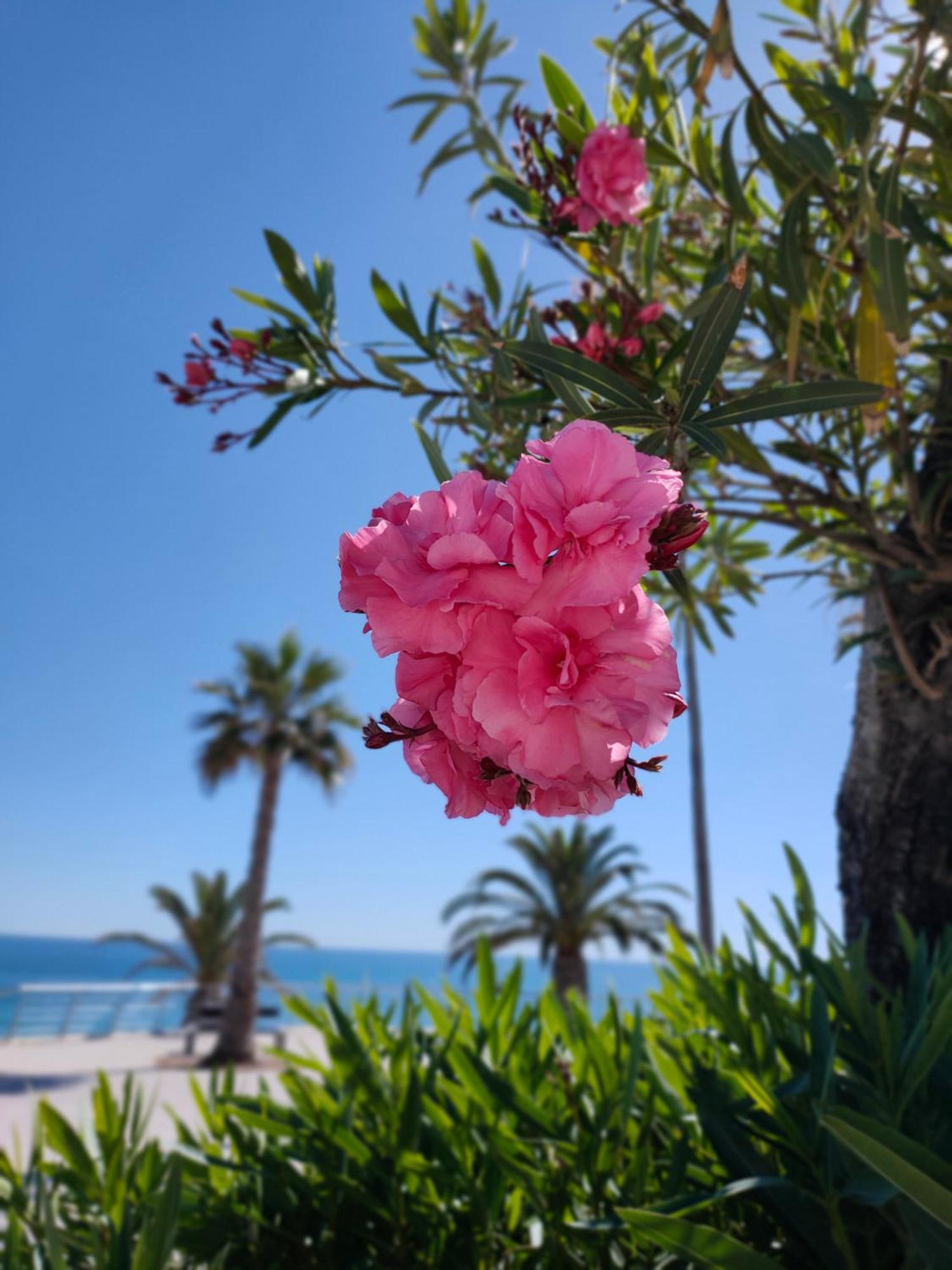 Cantinho Do Sol - Sea View, Quiet, Cozy And Relaxing Flat Armacao de Pera Luaran gambar
