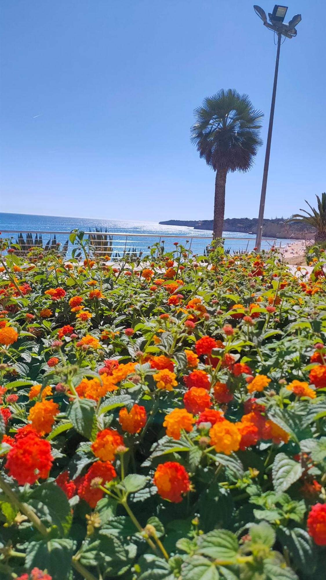 Cantinho Do Sol - Sea View, Quiet, Cozy And Relaxing Flat Armacao de Pera Luaran gambar